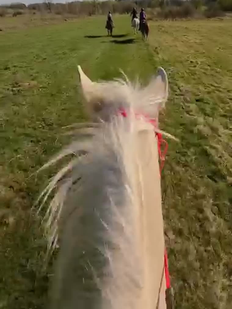 Prairie